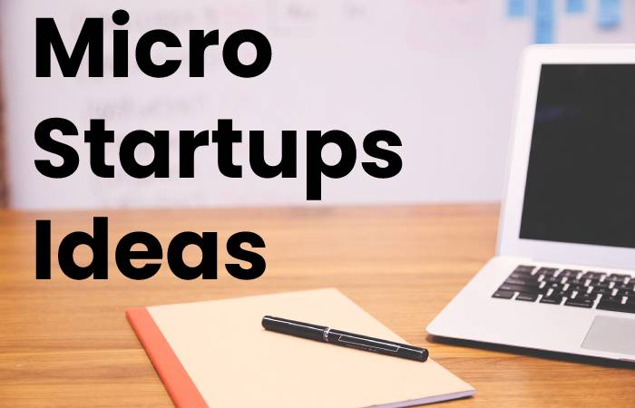 Micro Startups Ideas