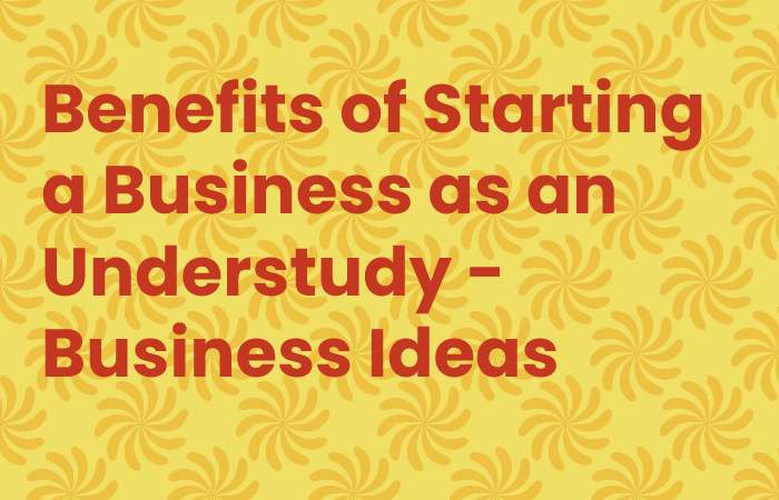 Benefits of Starting a Business as an Understudy - Business Ideas