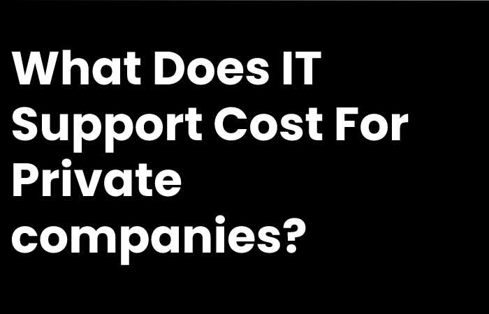 What Does IT Support Cost For Private companies?