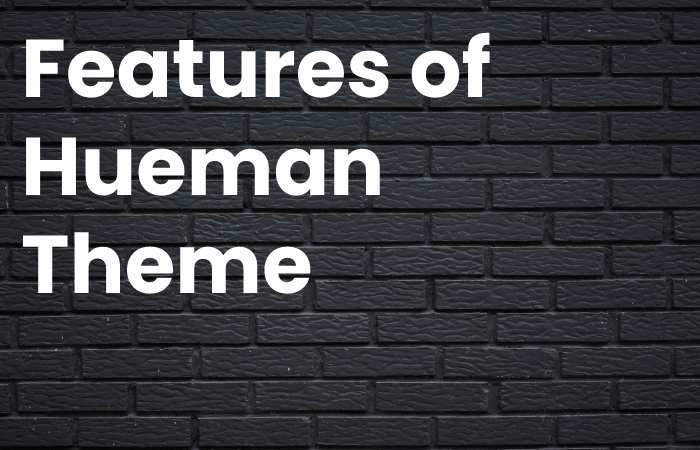 Features of Hueman Theme