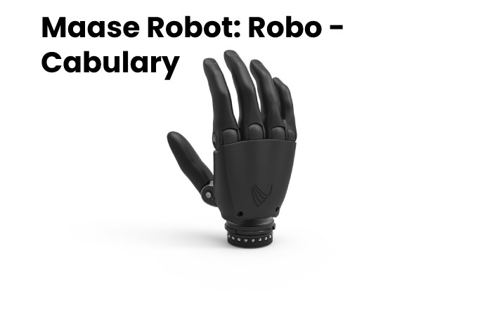 Maase Robot: Robo - Cabulary 